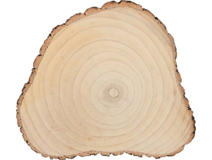 J-Line boomschors Onregelmatig Paulownia - schors - hout - naturel - large