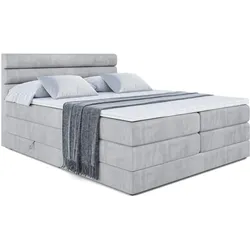 BOXSPRINGBETT CELESTIA KING - 140x200 - H3/H4 - Hellgrau
