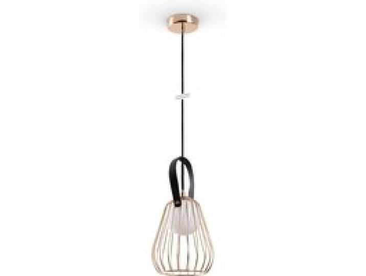 Suspension Rici or