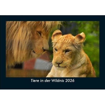 Tiere in der Wildnis 2026 Fotokalender DIN A5