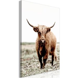 Artgeist Wandbild Hochlandrind, Leinwand, Hochformat, 80 x 120 cm