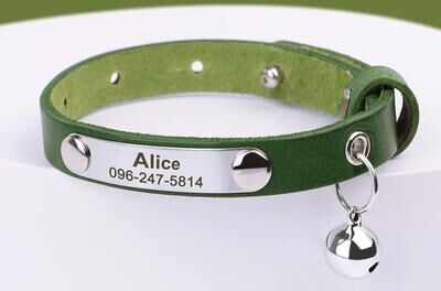 Inspire Select Personalized PU Leather Cat Collar With Free Engraving & Bell Adjustable Anti Lost Pet Collar green 5.99.1 In