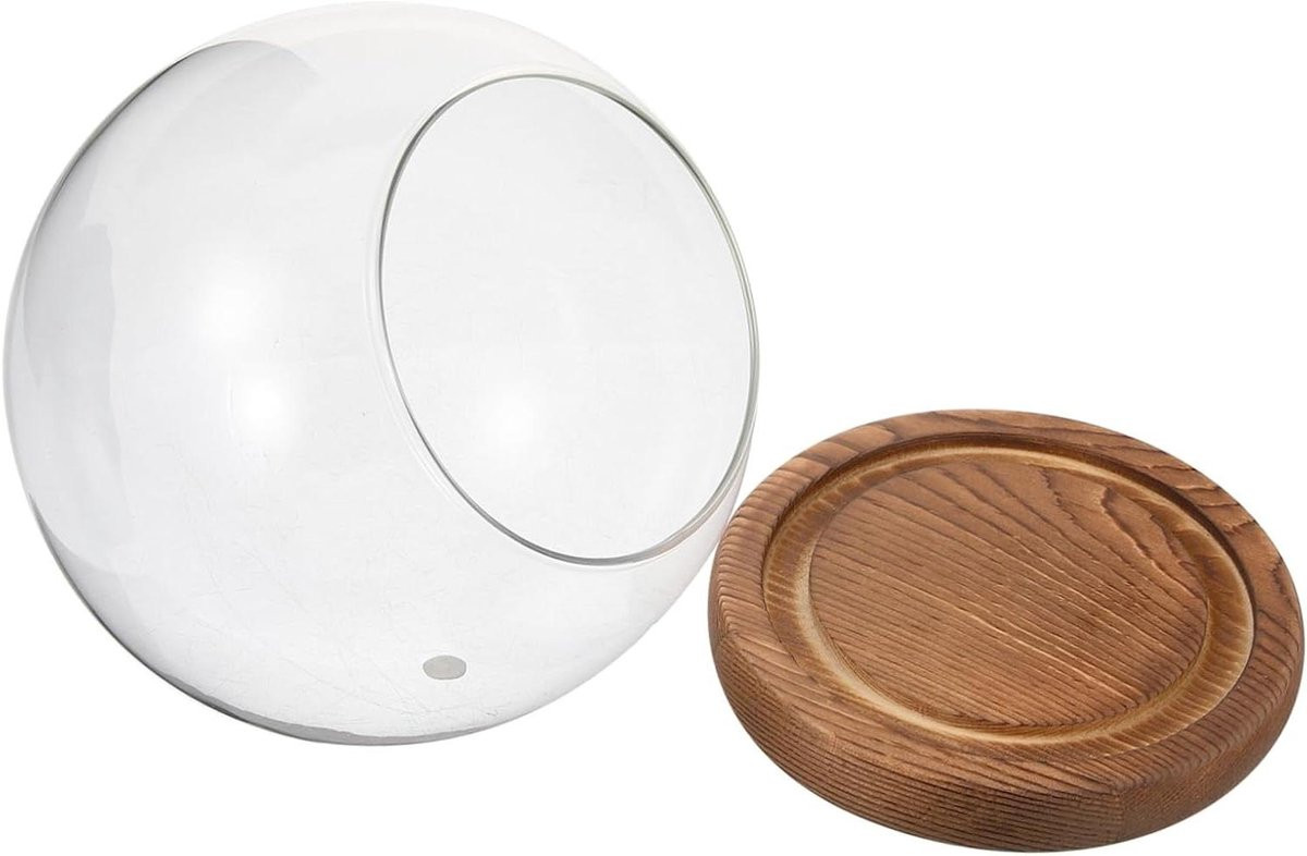 Glazen Koepel met Houten Basis - Heldere Display Stolp Vitrine voor Decoratieve Presentatie