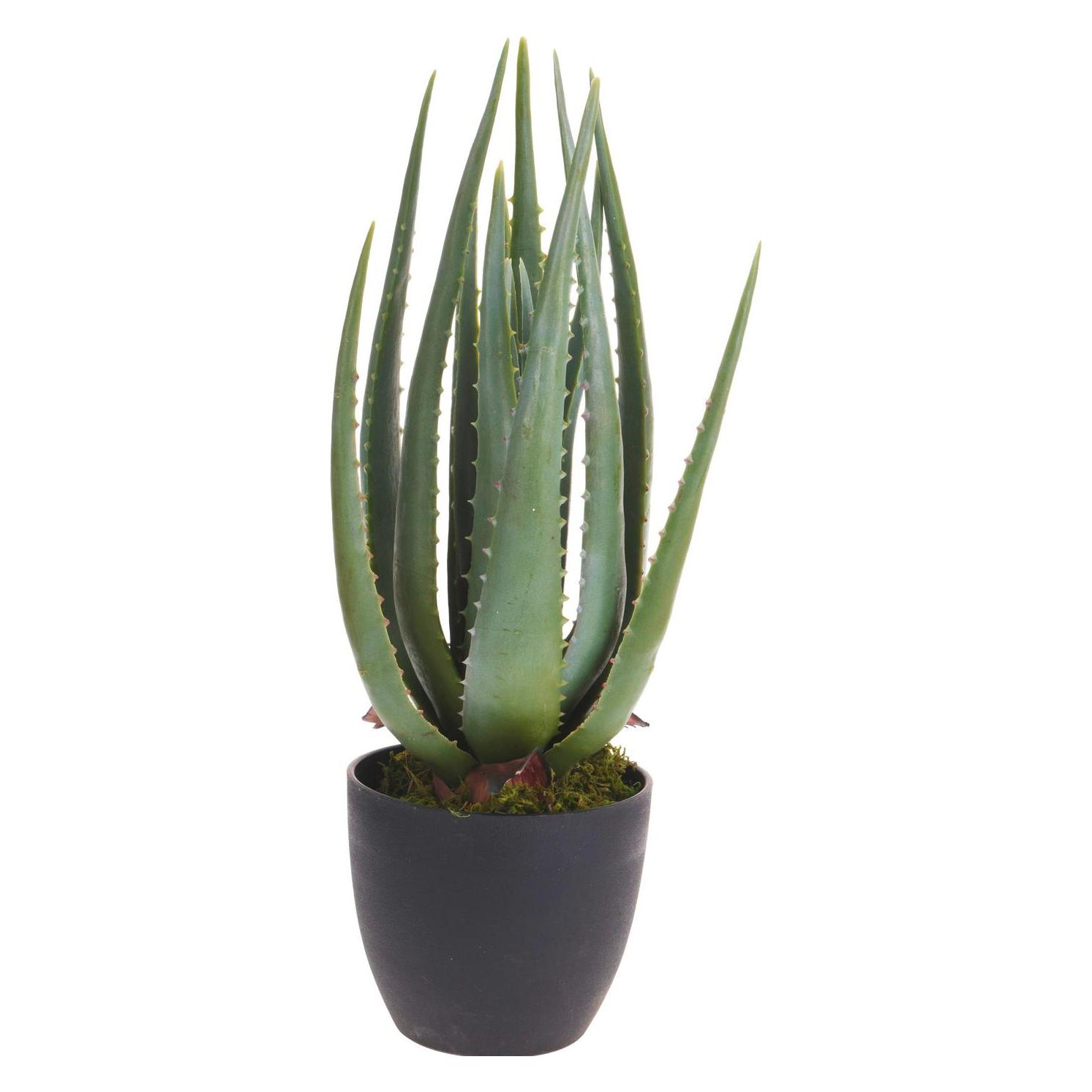 ProGarden Mckenzie (45 cm) (23908864)