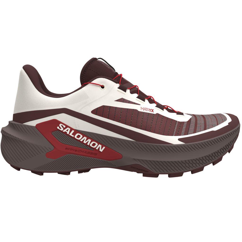 Salomon Herren Genesis 2 braun 44.6