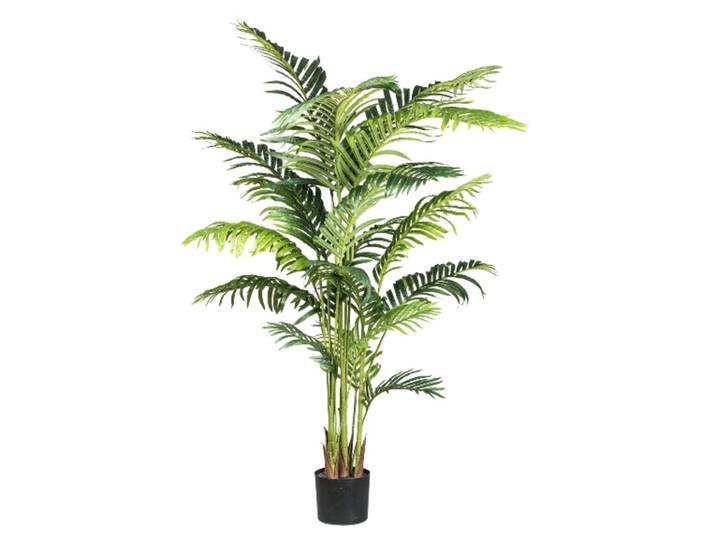 Kunstpflanze Kentiapalme H: 160 cm Gasper / Farbe: