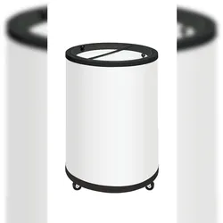 TEFCOLD Tiefkühltonne CF78 80l Weiß
