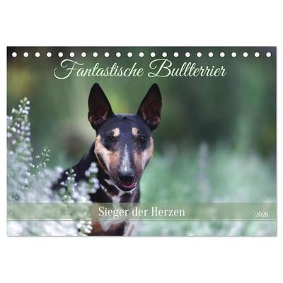 Fantastische Bullterrier - Sieger im Herzen (Tischkalender 2026 DIN A5 quer), CALVENDO Monatskalender