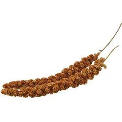 elles Kolbenhirse rot 15kg 1x0
