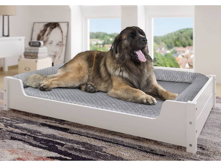 Hundesofa XXL für Dogge Bernhardiner Tierbett 120 x 70 cm Kiefer Weiß