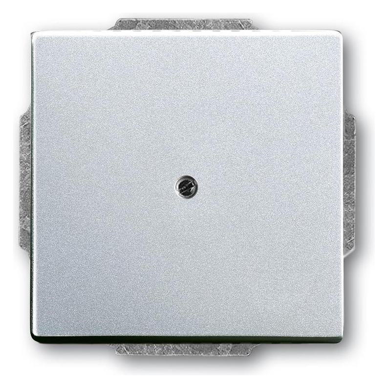 Busch-Jaeger Zentralscheibe (2CKA001710A3665)