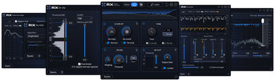 iZotope RX 12 Elements EDU