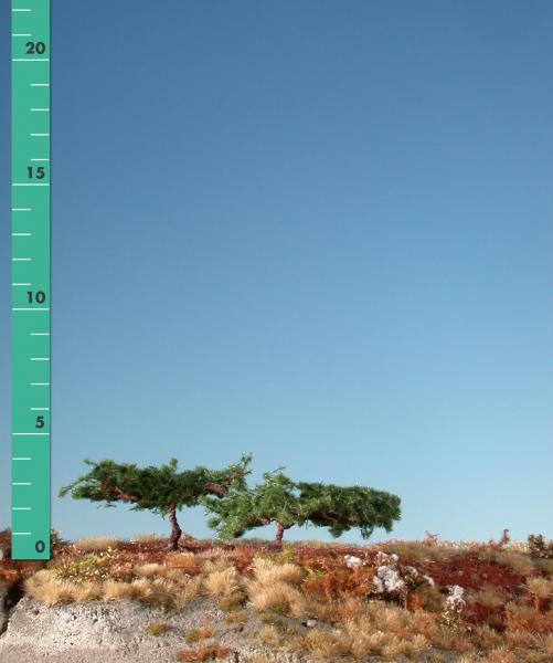 Silhouette 271-12