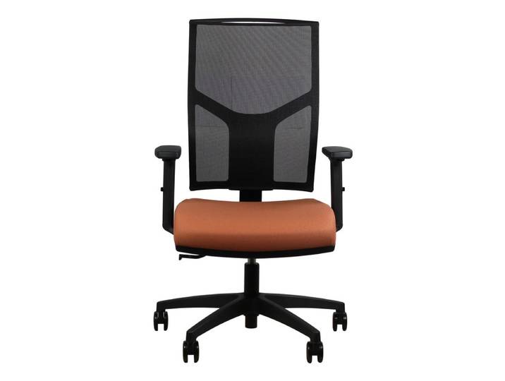 Fauteuil de Bureau Ergonomique MEDIA synchrone autorégulé terra