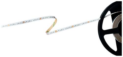 Barthelme Basic 120 51540911 LED-Streifen mit offenem Kabelende 24V 5m Rot 1St.