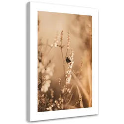 WANDBILD beigefarbene blumen auf dem feld