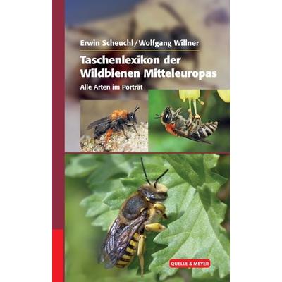 Taschenlexikon der Wildbienen Mitteleuropas, Gebundene Ausgabe von Erwin Scheuchl,Wolfgang Willner, Quelle & Meyer, 978-3-494-01653-5