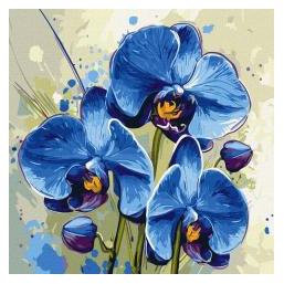 Ideyka Malen nach Zahlen - Zarte Orchidee (78585261)
