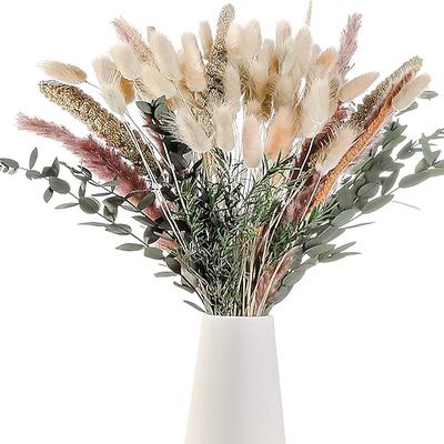 Pampasgras-Dekor-Set – natürliche Trockenblumen für DIY-Arrangements, ungiftig für Zuhause Hochzeitsdeko, Nutzung ohne Strom