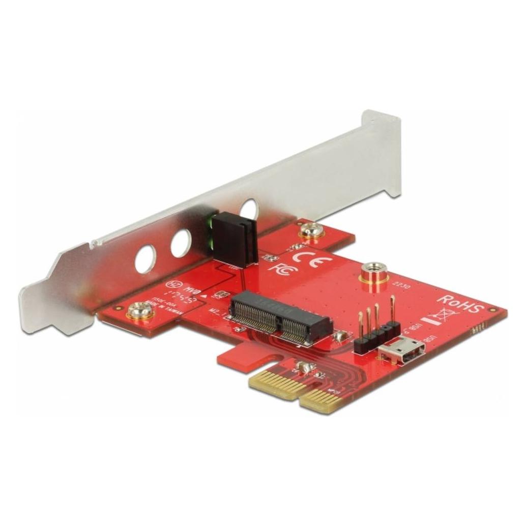Delock Speicher-Controller (89889)