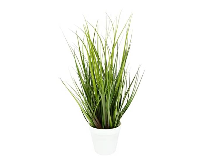 Flair Flower Künstlicher Grasbusch im Topf Kunstpflanze Dekogras Kunstgras Pflanze Ziergras Gras Grasbüschel Busch Deko Gräser Frühjahr Ufergras Schilf Hochzeitsdeko Dekopflanze, Grün, 43x20x20cm