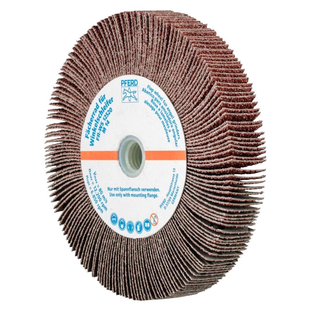 Pferd Schleifstift Lamellenschleifrad für Winkelschleifer FR WS Ø 125 x 20 mm M14 A40 universelle Anwend (40) (44782504)
