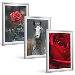BILDER SET 3er Set - 40x60 cm Silberner Rahmen - Rote Rosen, Pferdegrau, Welt