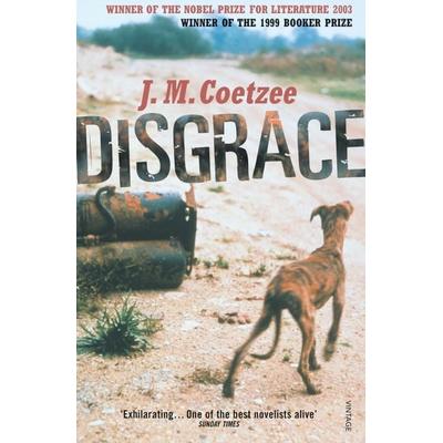 Disgrace, Taschenbuch von J.M. Coetzee, Vermilion, 978-0-09-928482-6