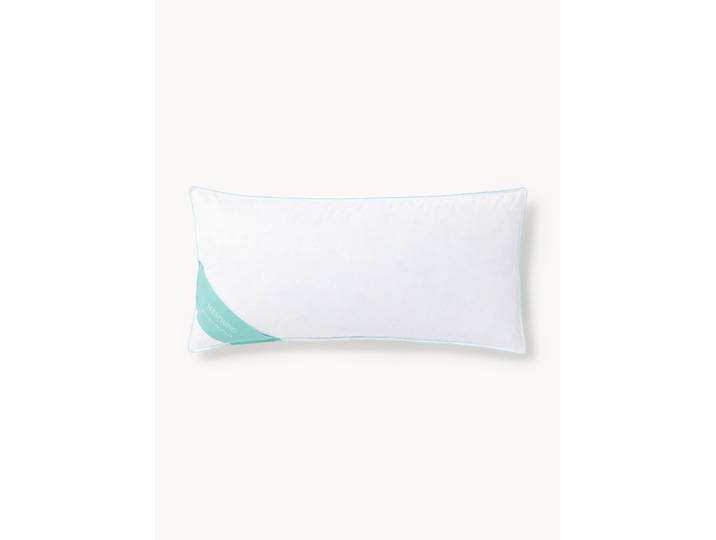 Oreiller garni de plumes Comfort, intermédiaire