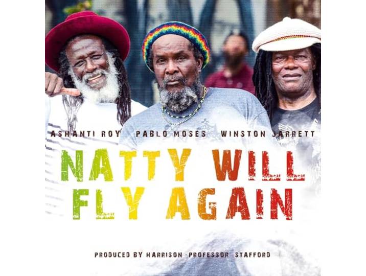 Ashanti/Pablo Moses/Winston Je Roy - Natty Will Fly Again