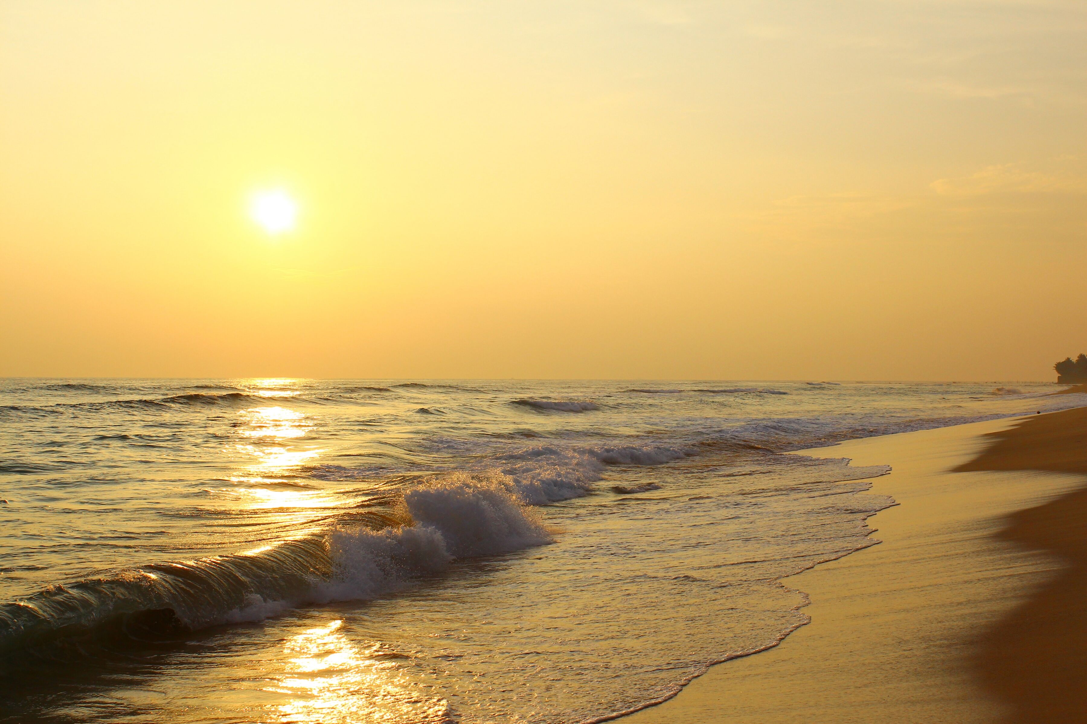 Fototapete PAPERMOON "Sunset Beach Sri Lanka", bunt, B:2,5m L:1,86m, Vlies, Tapeten, Fototapete bunt B/L: 2,5m x 1,86m, Bahnen: 5 Stk.