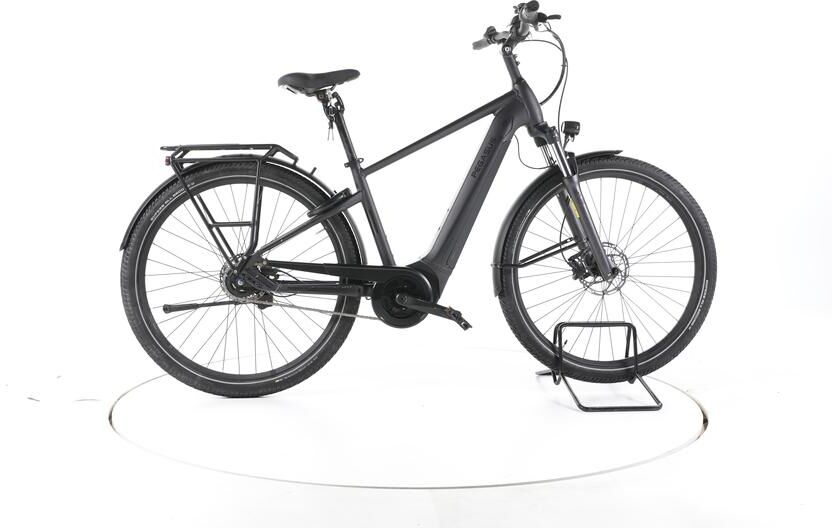 Pegasus Savino EVO 5R Performance Vélo Électrique Urbain - 302776