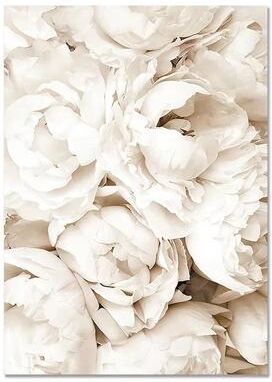 Inspired Finds Nordic White Shell Beach Dandelion Canvas Wall Art Minimalist Living Room Decor peony Cluster 19.69x27.56in