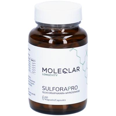 Moleqlar Sulforapro Glucoraphanin+Myrosinase Kaps. 60 St Kapseln