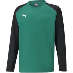 Puma, Unisex, Laufjacke, teamLIGA Training Sweat Jr-657239 (176), Grün, 176