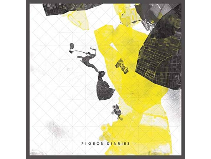 Pigeon Diaries