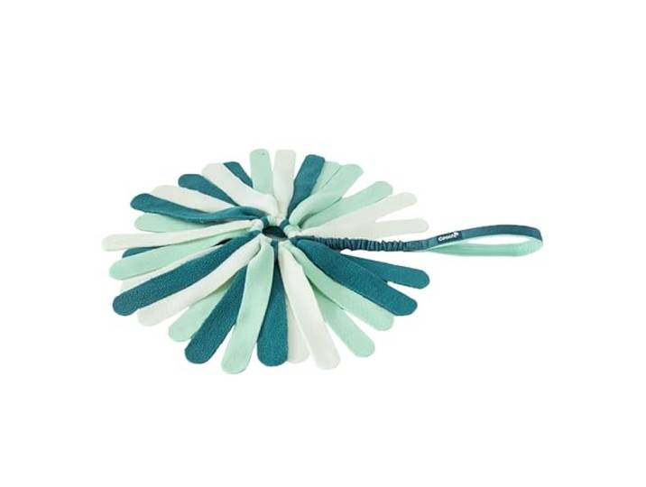 Coachi Puppy & Mini Tuggi Spider Voor trekken en spelen met uw hond