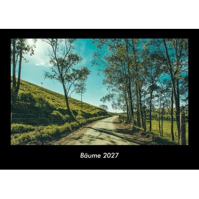 Bäume 2027 Fotokalender DIN A3