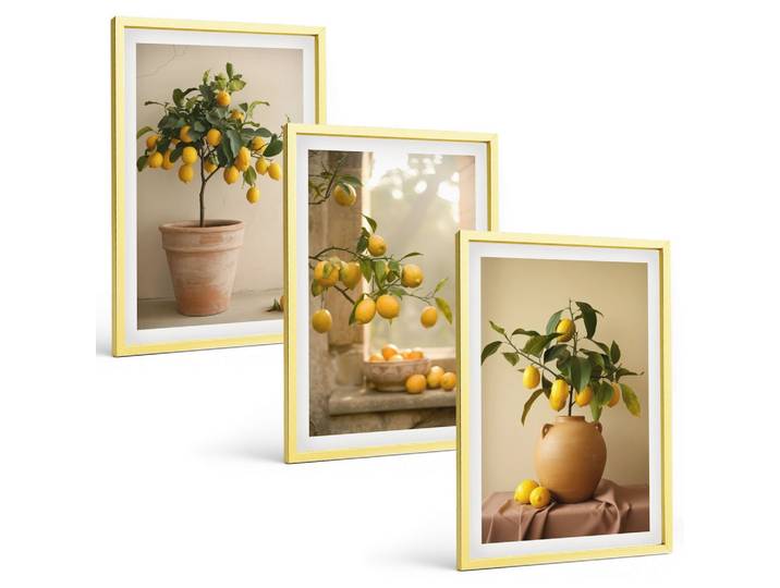 BILDER SET 3er Set - 40x60 cm Goldrahmen - Zitronenbäume im Topf