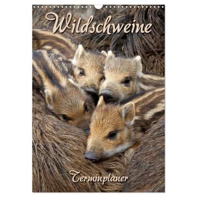 Wildschweine (Wandkalender 2027 DIN A3 hoch), CALVENDO Monatskalender