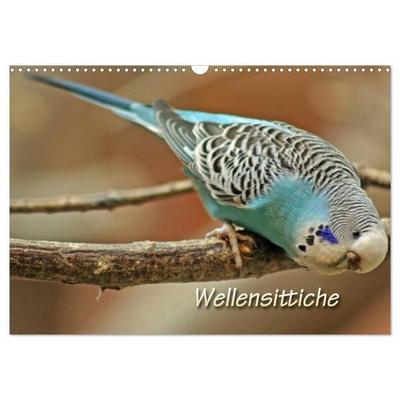 Wellensittiche (Wandkalender 2027 DIN A3 quer), CALVENDO Monatskalender