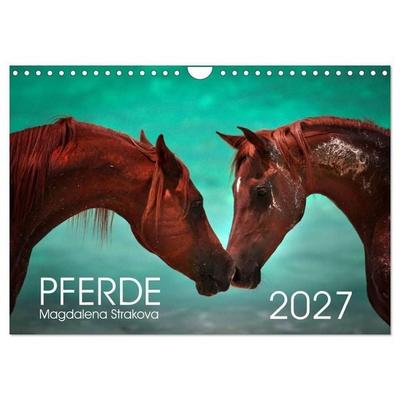 Pferde - Magdalena Strakova (Wandkalender 2027 DIN A4 quer), CALVENDO Monatskalender