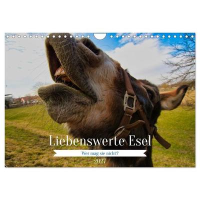 Liebenswerte Esel (Wandkalender 2027 DIN A4 quer), CALVENDO Monatskalender