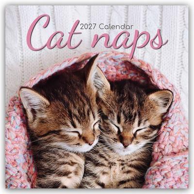 Cat Naps – Träumende Katzen 2027 – 16-Monatskalender