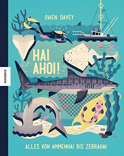 Owen Davey - Hai Ahoi!: Alles von Ammenhai bis Zebrahai - Preis vom 06.10.2026 07:26:00 h