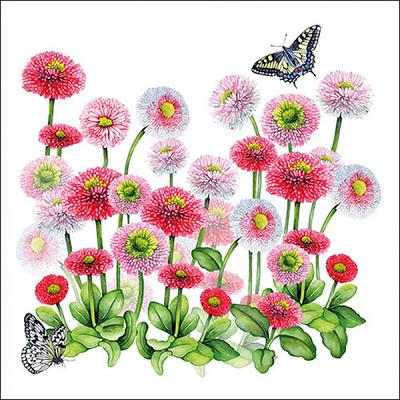 Ambiente 20 Servietten Papier 33x33cm 3-lagig - hochwertige Einweg Papierservietten Gänseblümchen Motiv Partyservietten Gartenfest Picknick Frühling Sommer