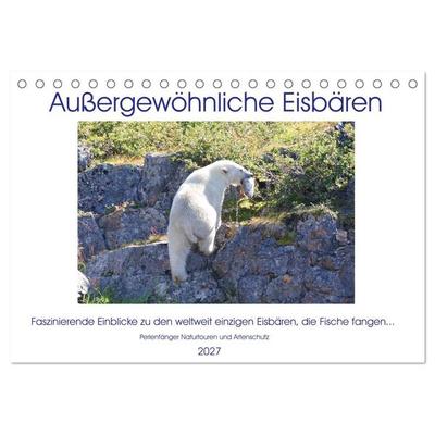 Das Leben der etwas 'anderen' Eisbären! (Tischkalender 2027 DIN A5 quer), CALVENDO Monatskalender