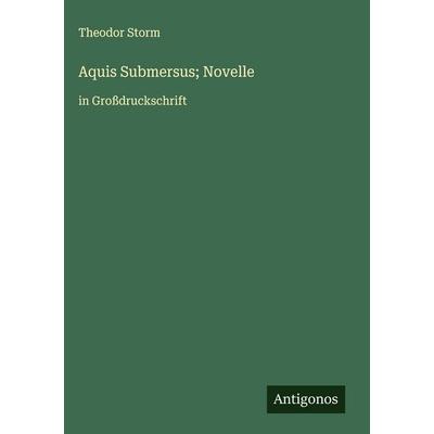 Aquis Submersus; Novelle, Gebundene Ausgabe von Theodor Storm, Antigonos Verlag, 978-3-563-27226-8