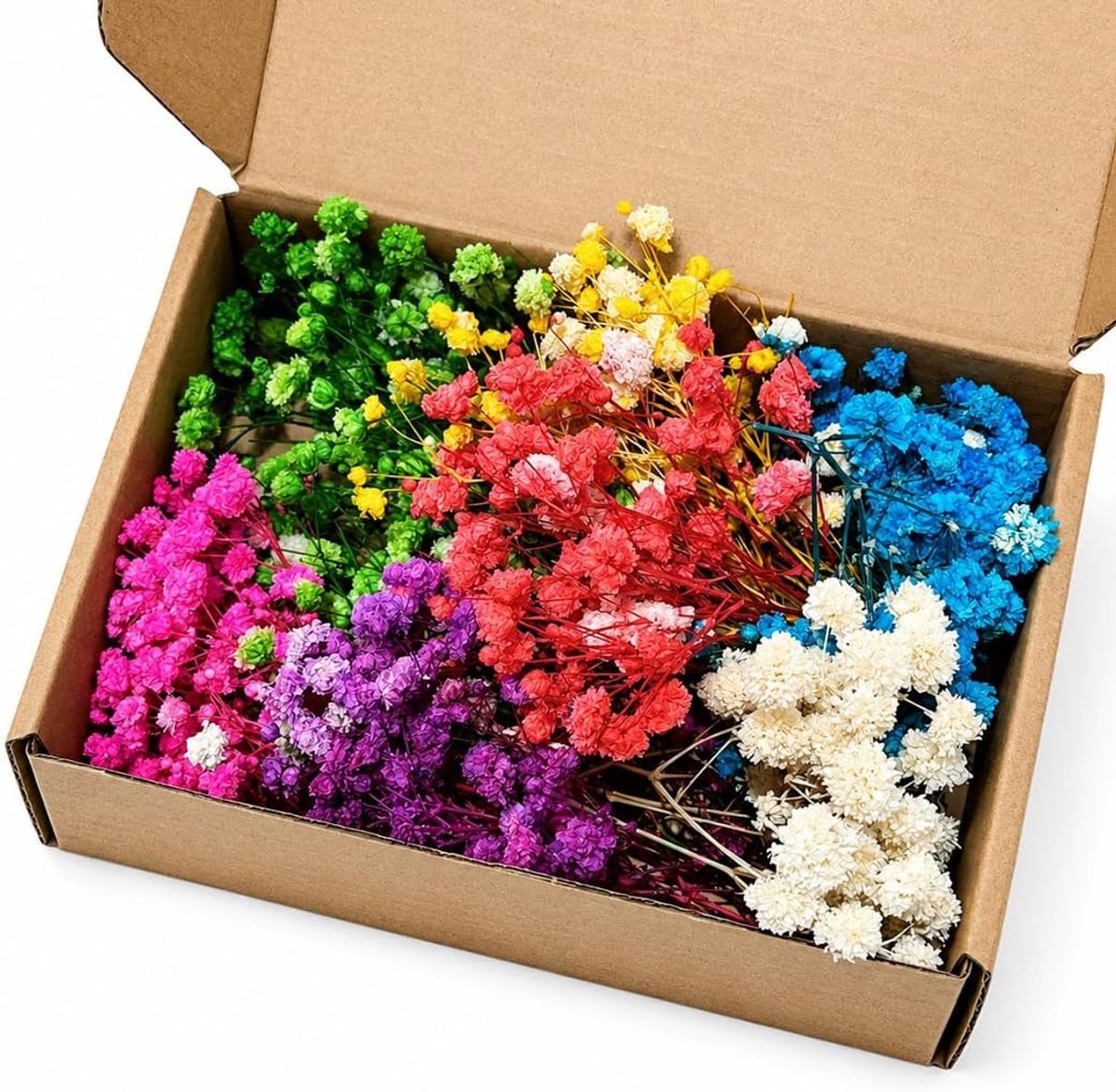 RUAVOEY Kleurrijke gedroogde mini-bloemen voor decoratie, 100 stuks