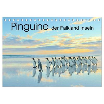 Pinguine der Falkland Inseln (Tischkalender 2027 DIN A5 quer), CALVENDO Monatskalender